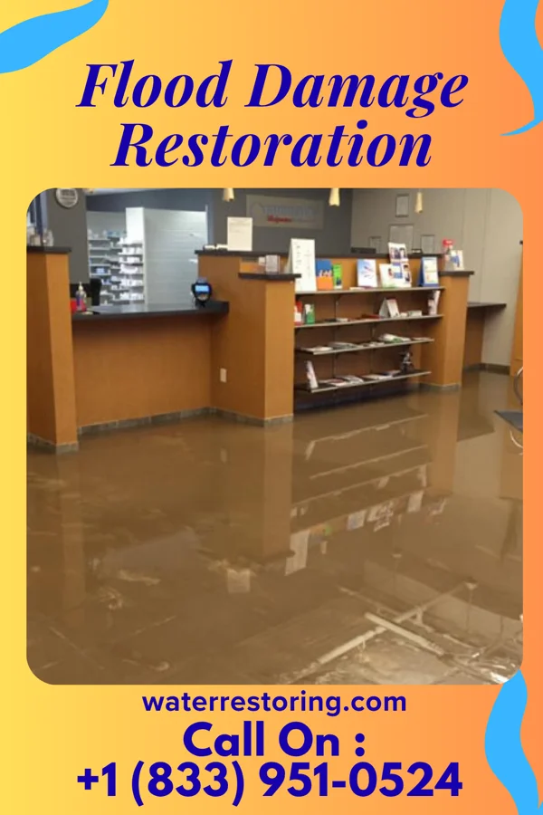 Flood Damage Restoration in Manawa, WI