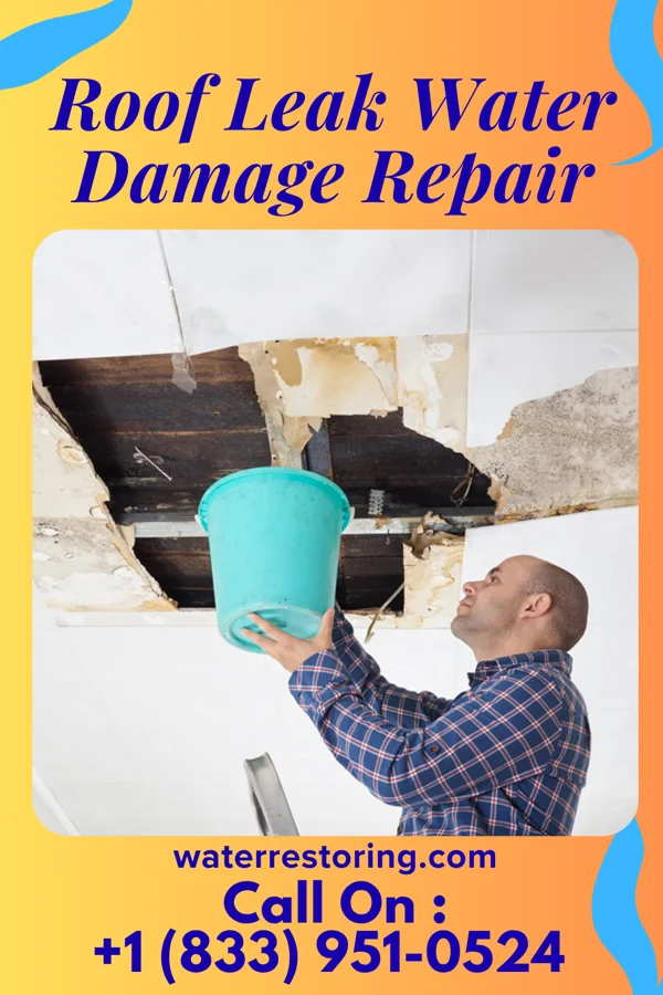 Roof Leak Water Damage Repair in Manawa, WI
