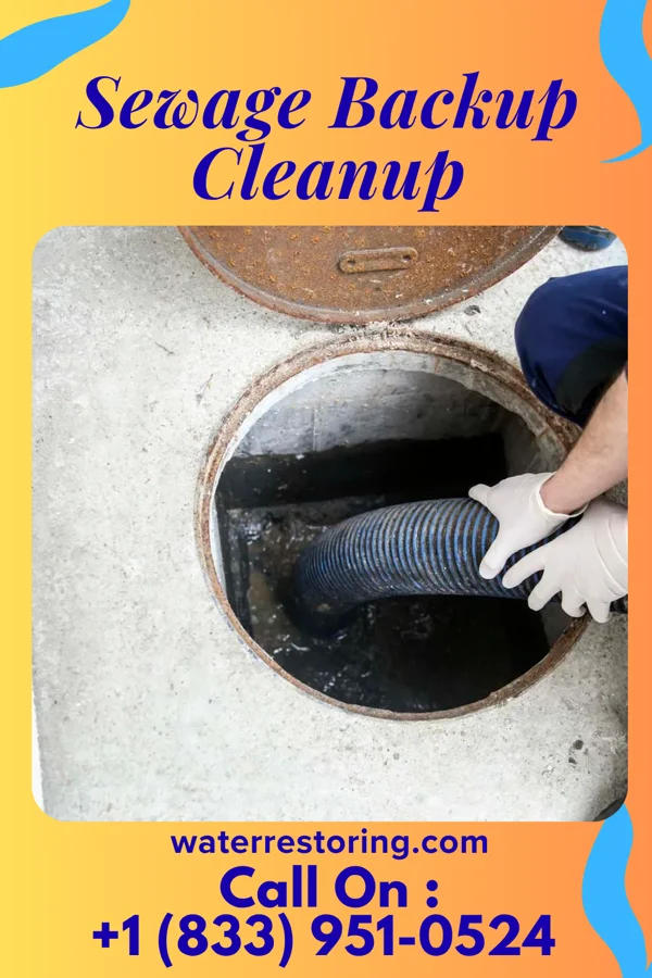 Sewage Backup Cleanup in Manawa, WI