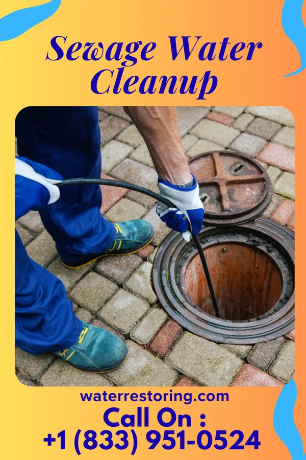 Sewage Water Cleanup in Manawa, WI
