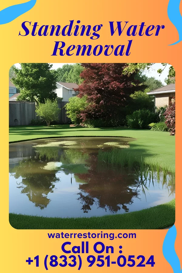 Standing Water Removal in Manawa, WI